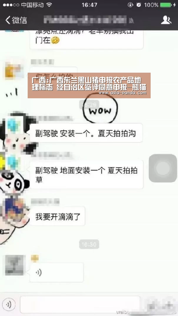 熊猫体育平台