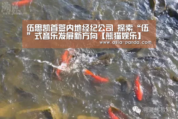 伍思凯首签内地经纪公司 探索“伍”式音乐发展新方向【熊猫娱乐】(图1) 熊猫体育直播
