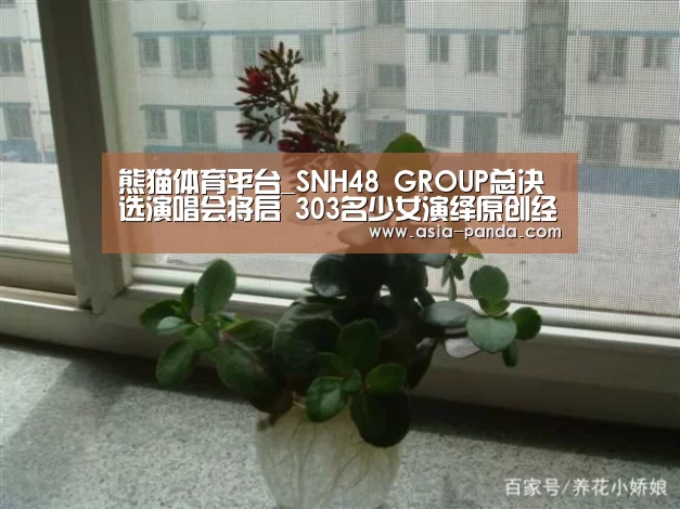 熊猫体育