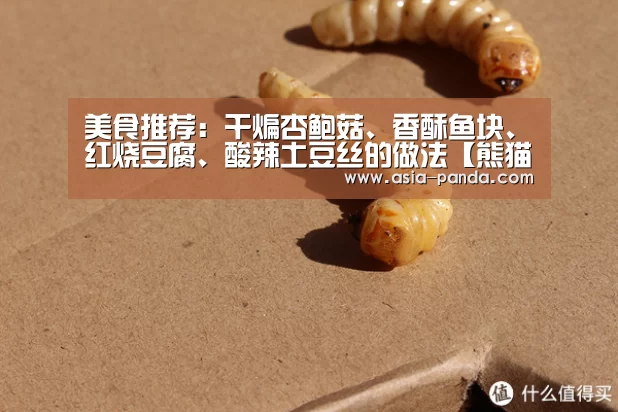 熊猫体育