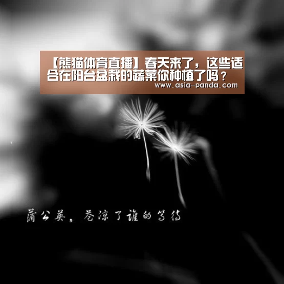 【熊猫体育直播】春天来了,这些适合在阳台盆栽的蔬菜你种植了吗?(图1) 熊猫体育