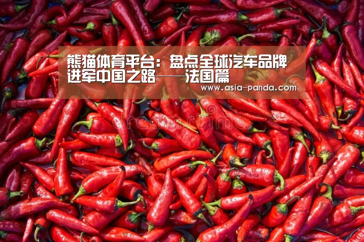 熊猫体育平台:盘点全球汽车品牌进军中国之路——法国篇(图3) 熊猫娱乐