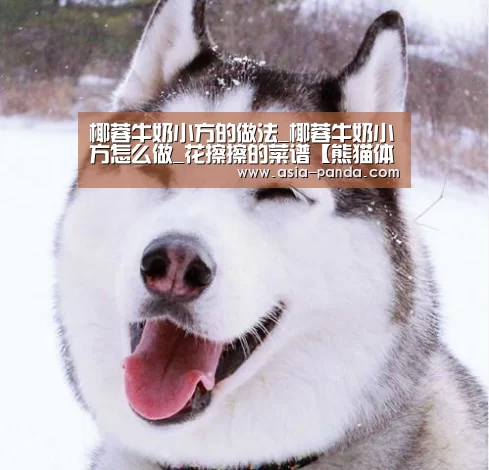 熊猫体育直播
